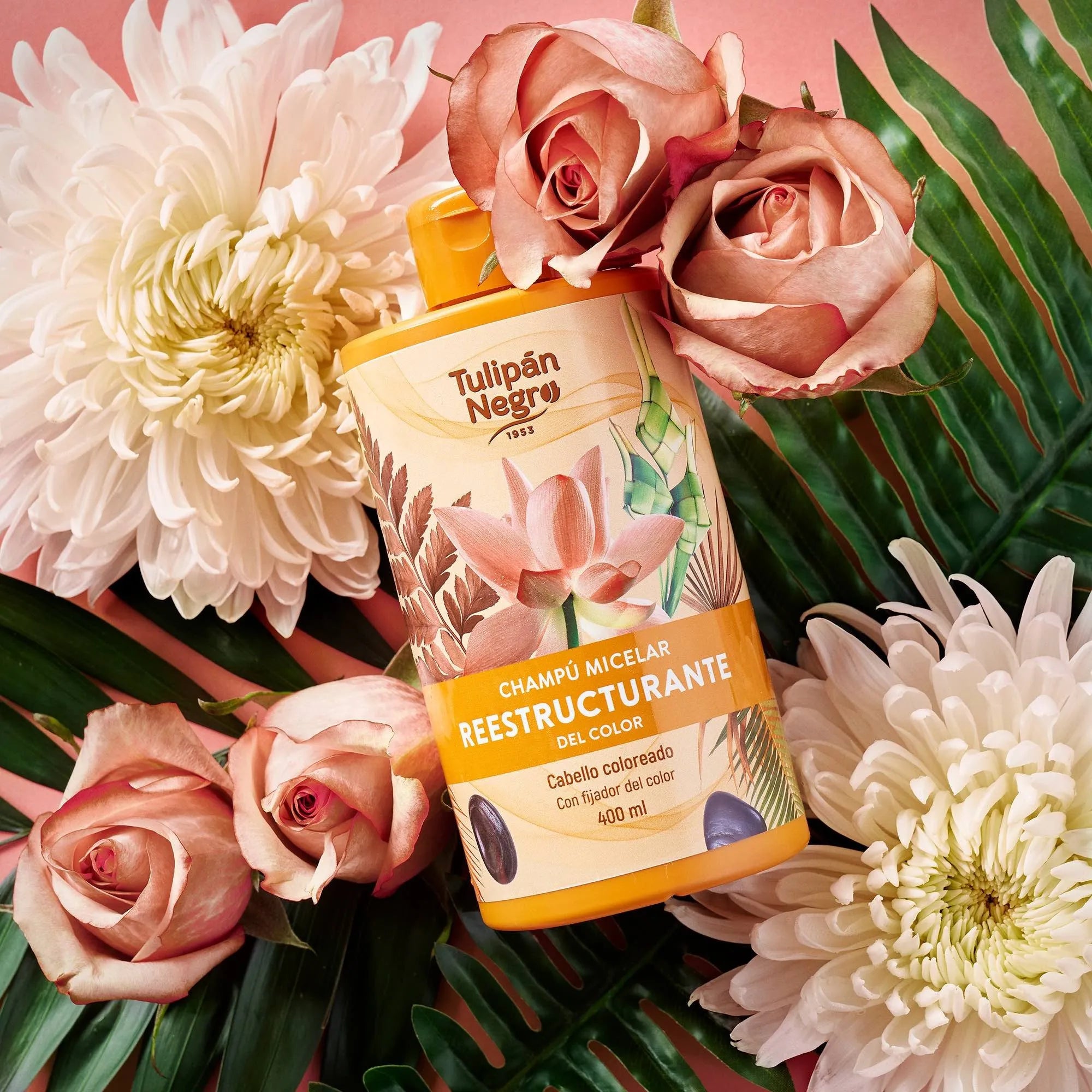 SHAMPOOING MICELLAIRE RESTRUCTURANT DE COULEUR 400ML. TULIPAN NEGRO