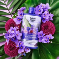 SHAMPOOING MICELLAIRE PURIFIANT 400ML. TULIPAN NEGRO