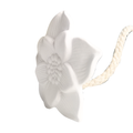 Fleur pour diffuseur par
capillarité Narcisse - DCFR